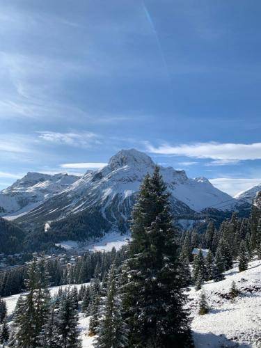 Bed and breakfast  Lech