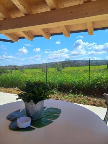 Bed & Breakfast Scandiano