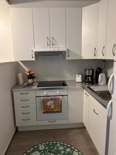 Apartamento Rovaniemi