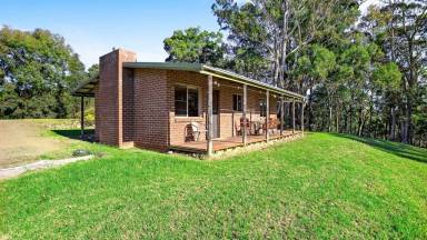 Cabin Tilba Tilba