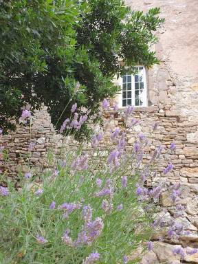 Castle  Raissac-d'Aude
