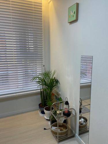 foto10