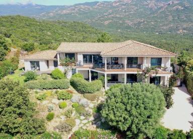 House Pet-friendly San-Gavino-di-Carbini