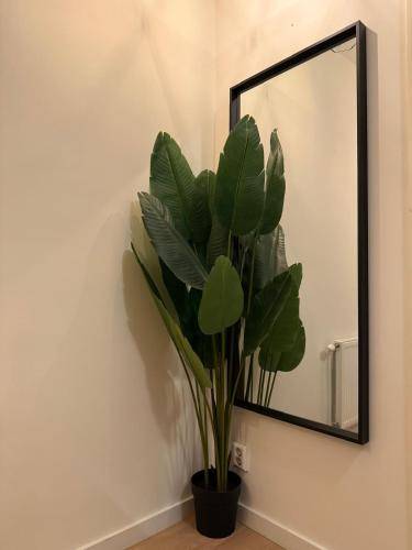 foto16