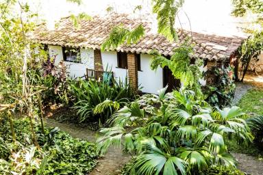 Apartment  Itacaré