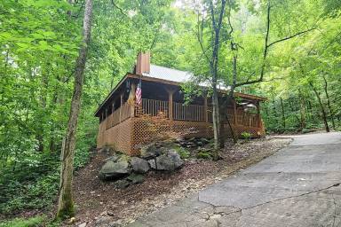 Cabin Townsend