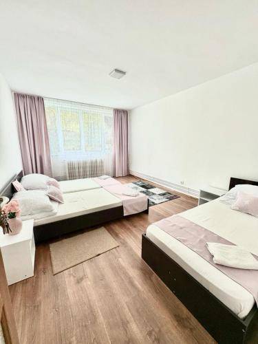 Apartman Székelyudvarhely