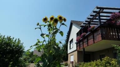 Ferienwohnung Weilheim