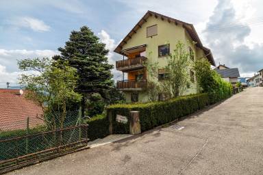 Apartment  Weisenbach
