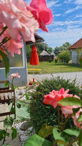 Riad  Lendava