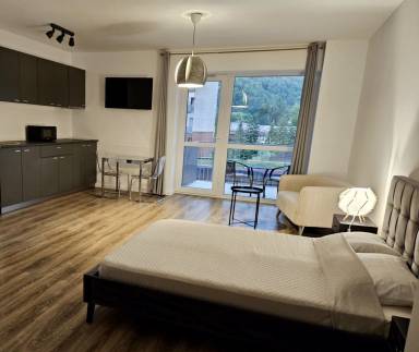 Apartment  Sinaia