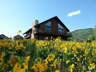Cabin  Crested Butte