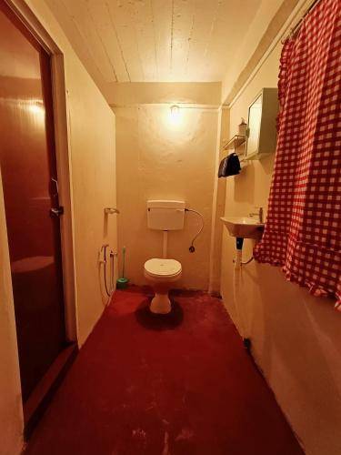 foto10