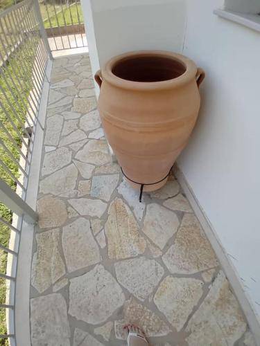 foto14