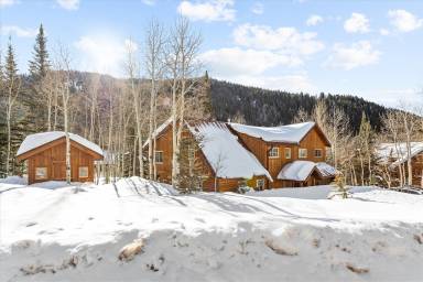 Cabin Solitude