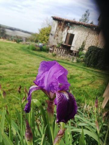 foto17