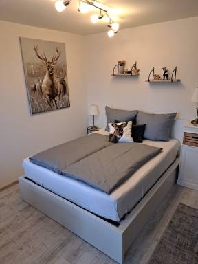Ferienwohnung "Harzilein"