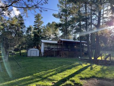 Cabin Ruidoso Downs