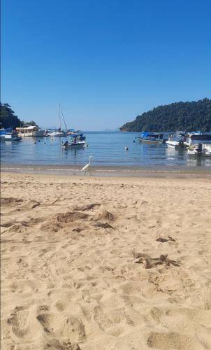foto1