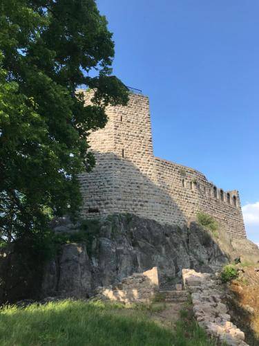 foto16