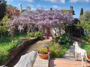 Bed & Breakfast Ronciglione