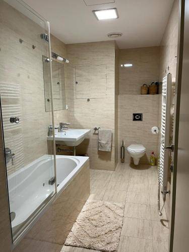 Apartmán  Špindlerův Mlýn