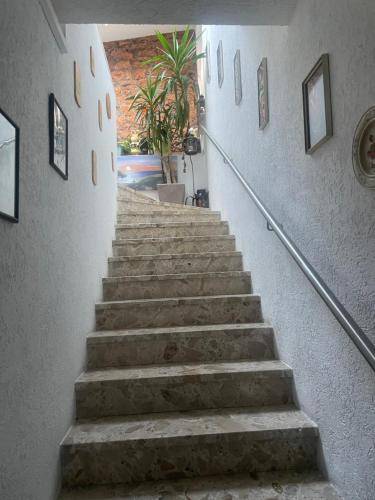 foto18