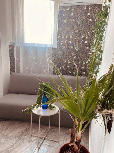 Appartement Sector 4