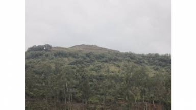 Apartamento Sacsayhuamán