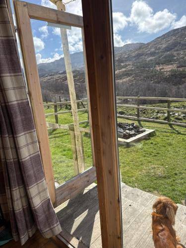 Lodge with jacuzzi & yard | Pets are welcome — photo 5
