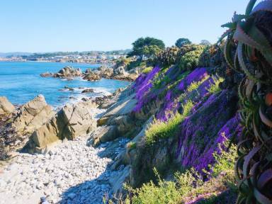 Cottage  Pacific Grove