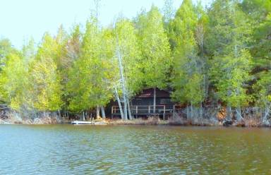 Cabin Saranac Lake
