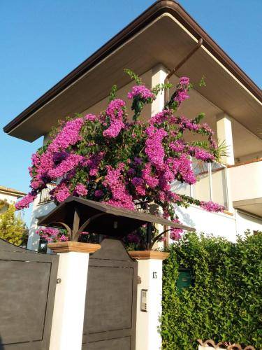 Bed & Breakfast Rosciano
