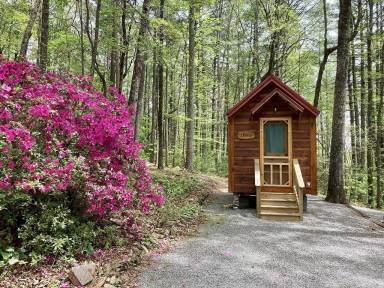 Cabin Lake Burton