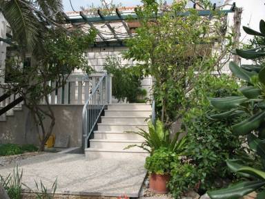 Apartament  Bol