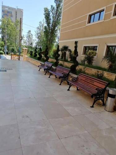 Apartment Mamaia