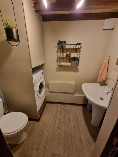 foto14