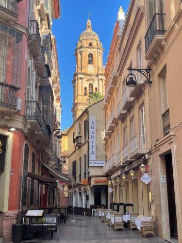 Pleasant rental apartment with terrace | Next to Alcazaba of Málaga | Pet-friendly in Málaga