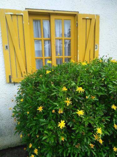 Quarto (B&B)  Esmoriz