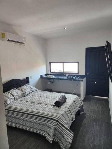 foto2