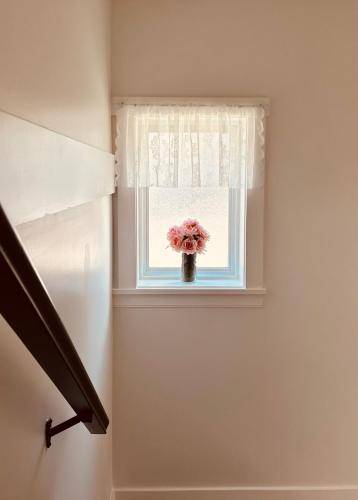 foto16