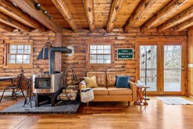 Cabin  Hunter
