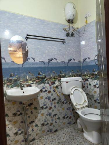 foto11