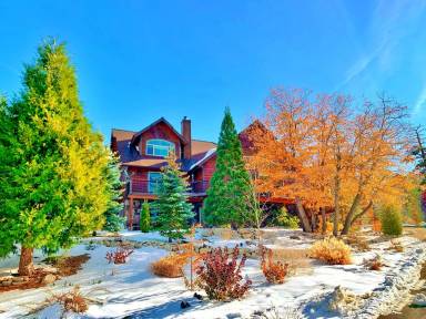 Cabin Big Bear