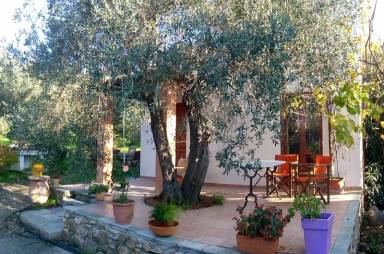 Dom  Skopelos