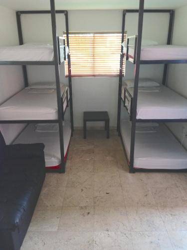 foto12