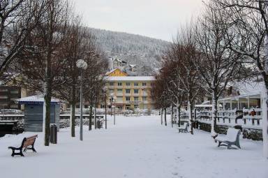 Appartement Gérardmer
