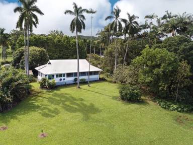 House Hilo