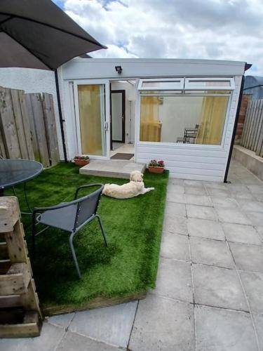 Apartment  Dundrum