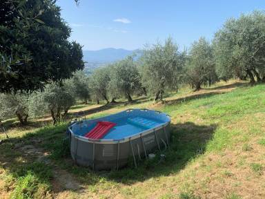 300 m² Agroturystyka